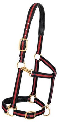 Weaver Leather Gewatteerde verstelbare nylon paardenhalter, rood, 1 inch groot paard