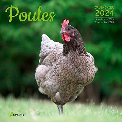 Calendrier Poules 2024: Calendrier de septembre 2023 à décembre 2024
