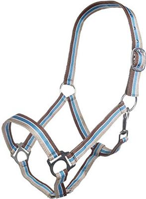 HKM Genève Licol Marron/Bleu/Beige Sang Chaud