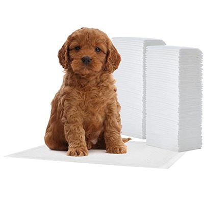 Iris Ohyama, Alaise Pour Chien, Alèse Jetable 44x30 Tapis Educateur pour Chiot, Apprentissage de la Propreté, 5 Couches de Protection Anti-Fuite et Résistante (100 Pièces) - Pet Pad NS-100R