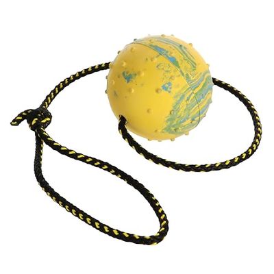 Dingo Balle pour Chien à Protubérances, Remplie de Caoutchouc, avec Clochette et Corde de 60 cm, Convient pour Le Rapport, Le Temps de Jeu, Taille Moyenne, Couleur Aléatoire (17280-2)