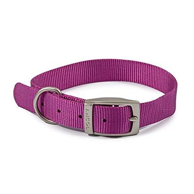 Ancol Viva - Collar Ligero con Hebilla, Color Morado, Talla 4 para Adaptarse a 35-43 cm, Resistente a la Intemperie