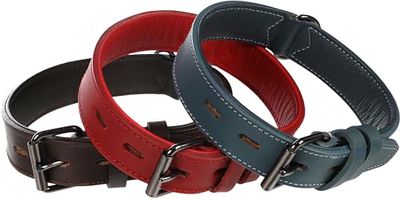 Collier Denver Large Rouge L 49-58CM 40MM