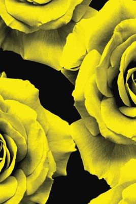 Yellow & Black Rose Journal