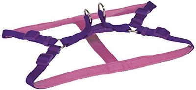 CHAPUIS SELLERIE SLA291 Pettorina regolabile per cani - Collare comfort in nylon viola - Larghezza 20 mm - Dimensioni 50-70 cm - Misura L