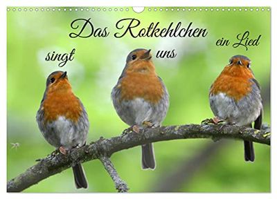 Das Rotkehlchen singt uns ein Lied (Wandkalender 2026 DIN A3 quer), CALVENDO Monatskalender: Das Rotkehlchen strahlt eine besondere Ruhe aus. Es ist oft bei uns im Garten zu Gast.