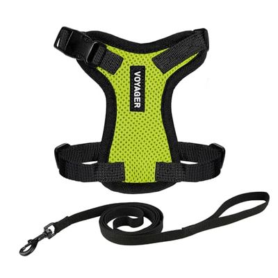 Best Pet Supplies Voyager - Set combinato di guinzaglio regolabile per gatti con manico in neoprene, 1,5 m, supporta gatti di taglia piccola, media e grande, di Best Pet Supplies - Verde lime/bordo