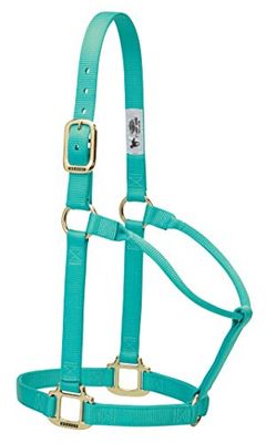 Weaver Leather Originele niet-verstelbare nylon paardenhalter, klein, mint