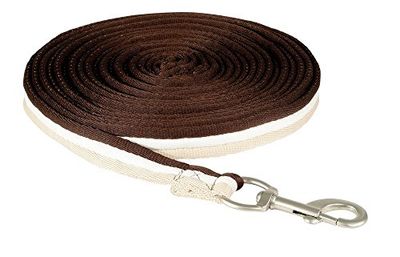 Pfiff 101196 Longe Longue avec Mousqueton émerillon 8,20 m