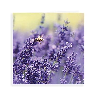 Fotografische Blanco Kaart Lavendel & Bee - 160 mm sq - Piccadilly Groeten