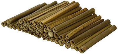 Wildlife World Solitaire Bee Tubes Houten (Pack van 50) BTW1