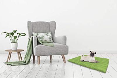 Elegant Tpverdemela Tappetino per Cani con Cerniera Sfoderabile, Microfibra anallergica, Verde Mela, 60 x 100