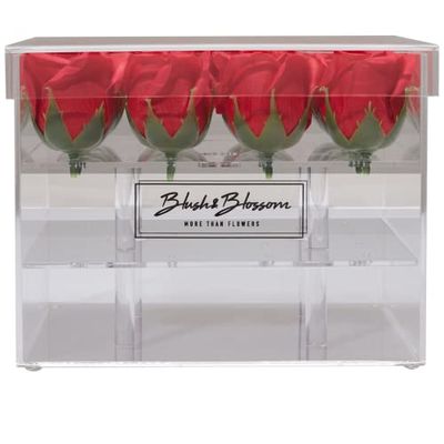 Blush & Blossom C16P Fiori, Passione, One Size