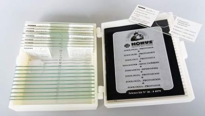 Préparation Cone Set - Zoologie 1 (Pack de 10)