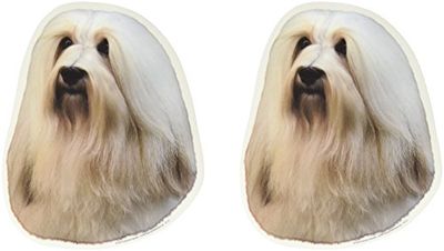 World Stickers Sweden AB Autocollant Bichon Havanaise taille medium