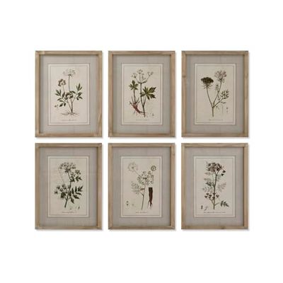 Home ESPRIT Wandafbeelding, shabby chic, botanische planten, 30 x 2 x 40 cm (6 stuks)