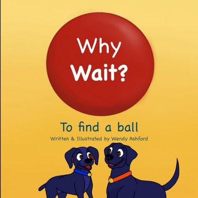 Why Wait?: to find a ball