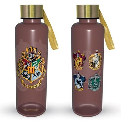 Pyramid International Harry Potter (kleurrijke kuif) slanke metalen drinkfles, hoogwaardige hydratatieoplossing, 20fl oz/560ml, één maat