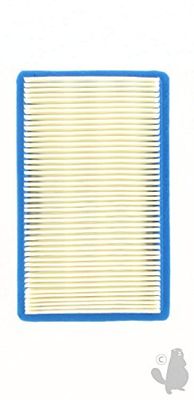 Greenstar 27693 - Filtro