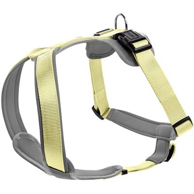 HUNTER Imbracatura in Neoprene, Colore: Matcha/Grigio, Taglia: L