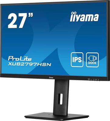 iiyama Prolite XUB2497HSN-B2 23.8" LED IPS FullHD 100Hz USB-C