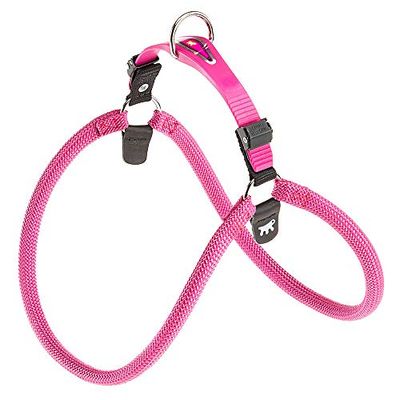 Pettorina Ferplast cane cani nylon Agila Sport regolabile 3 colori varie misure