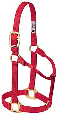Weaver Leather Licol Original Non réglable en Nylon pour Cheval Rouge Taille S