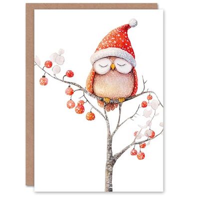 Wee Blue Coo Greeting Card Cute Santa Hat Owl On Winter Tree With Baubles Blank For Him Or Her Art Xmas Christmas Card