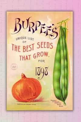 Vintage Onion & Bush Bean - the Best Seeds That Grow - Notebook