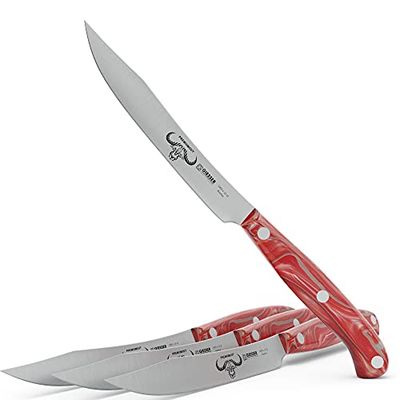 Giesser depuis 1776 - fabriqué en Allemagne - Set de couteaux à steak 4 diamants rouges, lame 12 cm, PremiumCut Steak No 1, acrylique, rouge, inoxydable, couteau à griller allemand tranchant