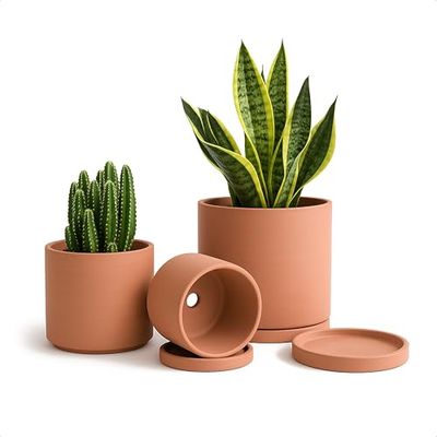 D'vine Dev Macetas de Terracota para Plantas, 4.2 Pulgadas, 5.3 Pulgadas, 6.5 Pulgadas, Maceta para suculentas con Drenaje y platillo, 40-A-T-1