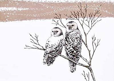 Snowy Owls Deluxe Boxed Holiday Cards (20 cards, 21 self-sealing envelopes)