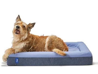 Casper Cama para Perro, Espuma viscoelástica, Azul, 64 x 84 x 15 cm (L x W x H)