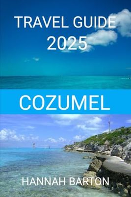 COZUMEL TRAVEL GUIDE 2025: Where to stay, Eat and explore without overspending.