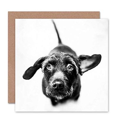 Wee Blue Coo GREETINGS CARD BIRTHDAY GIFT ANIMAL DOG CUTE PUPPY BW