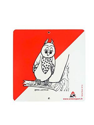 ORIENTSPORT 55000 – 15 – 21 vialetto Animali del Bosco, Trasparente, 15 x 15 cm
