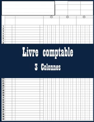 Livre comptable 3 Colonnes: Registre 3 Colonnes, Grand livre de comptes pour les comptes de revenus et de suivi des comptes de dépenses des ... et de vos dépenses, Format 8.5x11 Pouce.