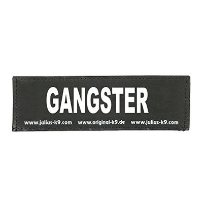 Julius-K9, 162LR-G-32311, ORIGINAL verwisselbare patches, Maat: Groot, Zwart label met witte fluorescerende tekst, 1 paar, GANGSTER