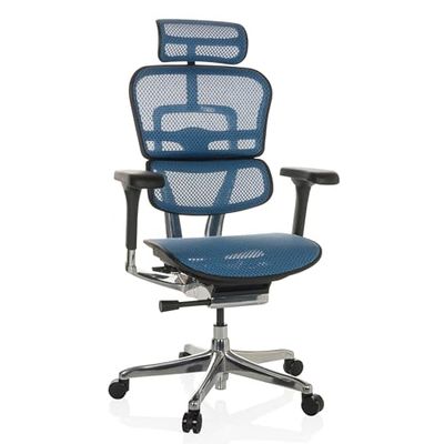hjh OFFICE Krzesło biurowe ERGOHUMAN I siatka ergonomiczny fotel biurowy z elastycznym podparciem lędźwiowym, niebieski, 652278