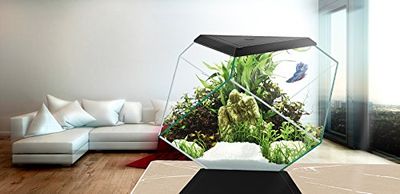 Askoll 280670 Nexus 5C Betta Life Negro