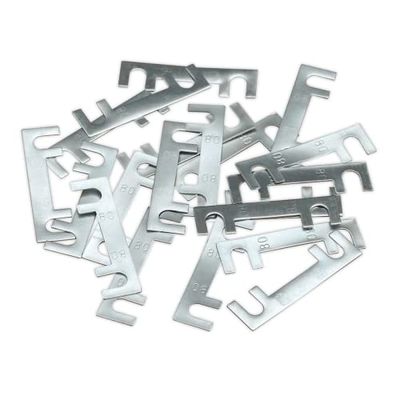 SEALEY 120/802131 type de fusible 100 Amp – Grand Lot de 10