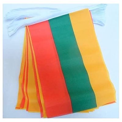 AZ FLAG - Guirlande Drapeau Lituanie - 6 Mètres Avec 20 Fanions Lituanien De 21x14 cm - Petits Drapeaux 100% Polyester - 60g