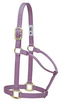 Weaver Leather Licol Original Non réglable en Nylon pour Cheval Lavande Taille S