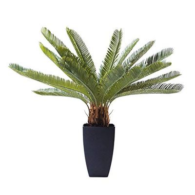 Kare Design plantas decorativas Cycas, verde, atenção aos detalhes, efeito deco relaxante, estilo exótico, estilo tropical, 78 x 20 x 40 cm