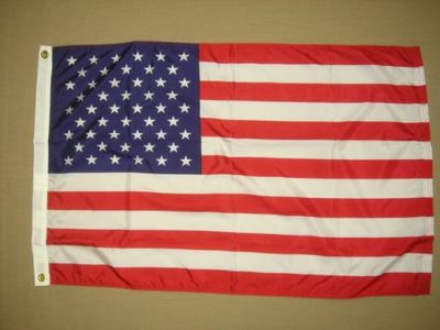 Annin Flagmakers Modelo 2500 American 16x24 pulgadas. Nylon, 100% fabricado en Estados Unidos con ojales de latón. Bandera