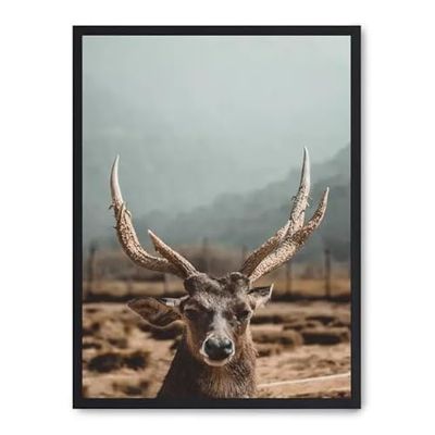 Cuadro deer_FASE5