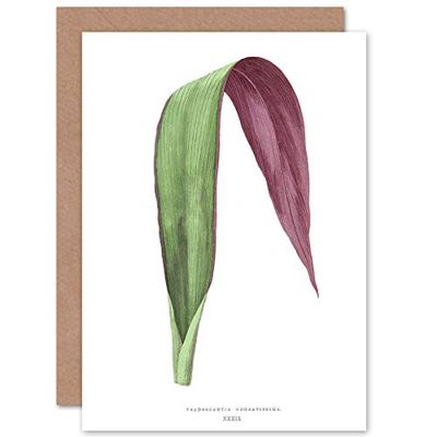 Wee Blue Coo Leaf Tradescantia Odoratissima Greeting Card With Envelope Inside Premium Quality