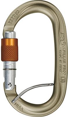 Climbing Technology 2C3960LSYBCHSTD Karbinhake, En Storlek, Guld, Orange