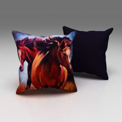 Eren Home Cuscino, Multicolore, 43x43cm
