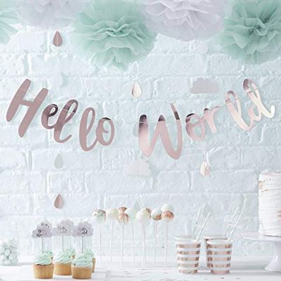 Ginger Ray Festone unisex con scritta Hello World in oro rosa